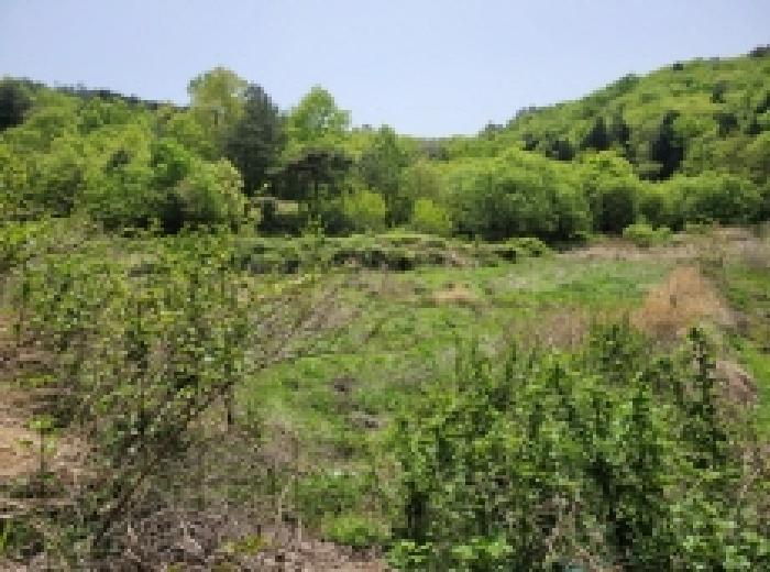 전라남도 보성군 겸백면 수남리 795 답 경매 사진 14