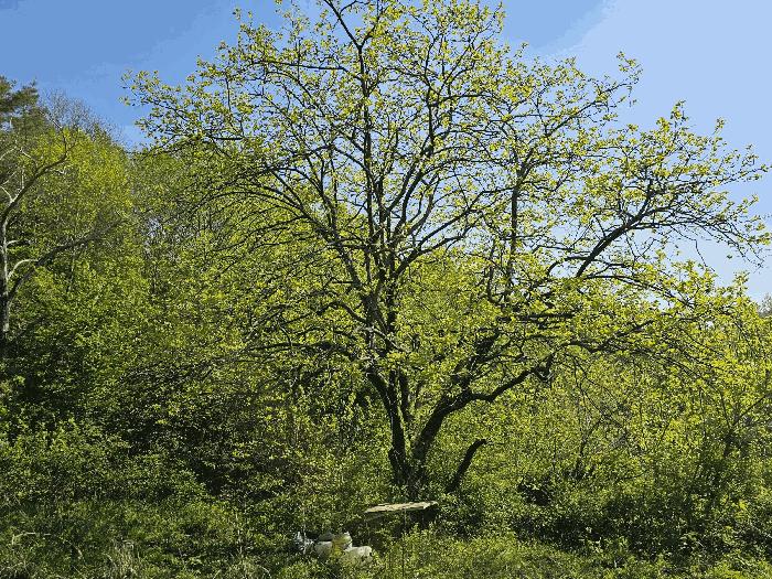 전라남도 보성군 겸백면 수남리 795 답 경매 사진 7