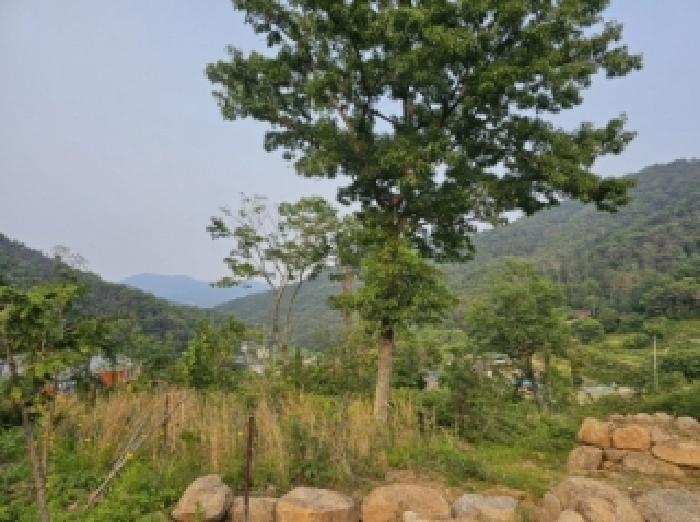 전라남도 순천시 와룡동 98 답 경매 사진 10