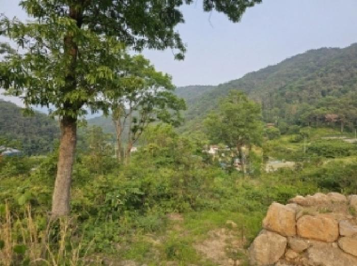 전라남도 순천시 와룡동 98 답 경매 사진 11