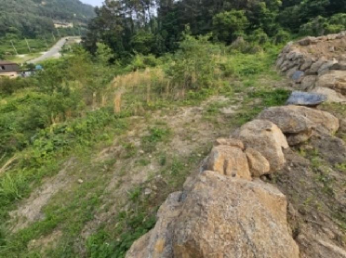 전라남도 순천시 와룡동 98 답 경매 사진 12