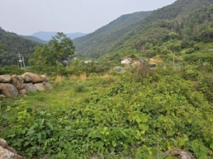 전라남도 순천시 와룡동 98 답 경매 사진 14