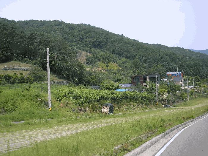 전라남도 순천시 와룡동 98 답 경매 사진 6