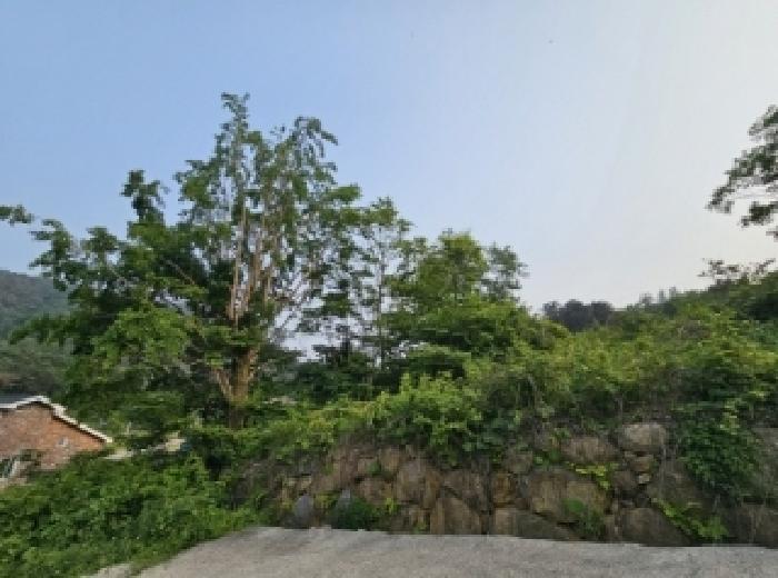 전라남도 순천시 와룡동 98 답 경매 사진 7