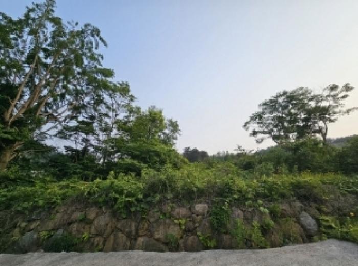 전라남도 순천시 와룡동 98 답 경매 사진 8