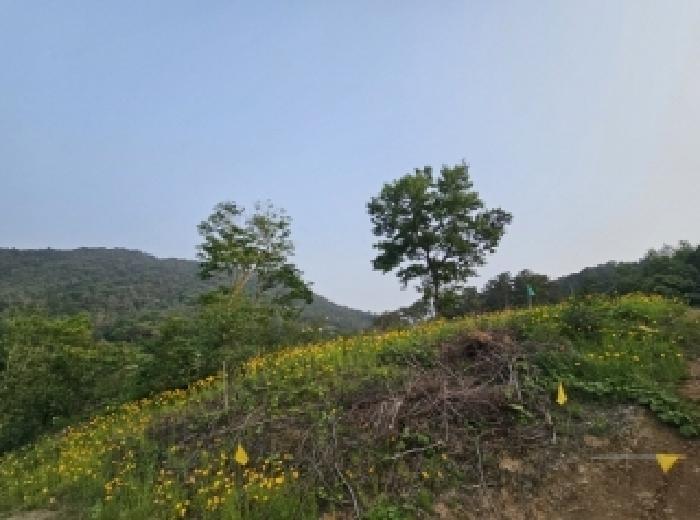 전라남도 순천시 와룡동 98 답 경매 사진 9