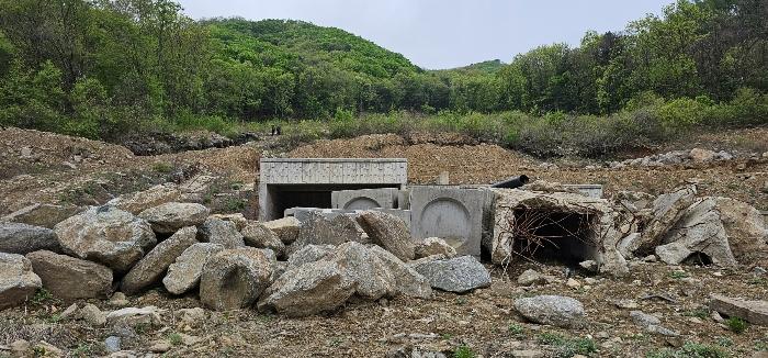 경기도 가평군 청평면 고성리 산165 임야 경매 사진 10