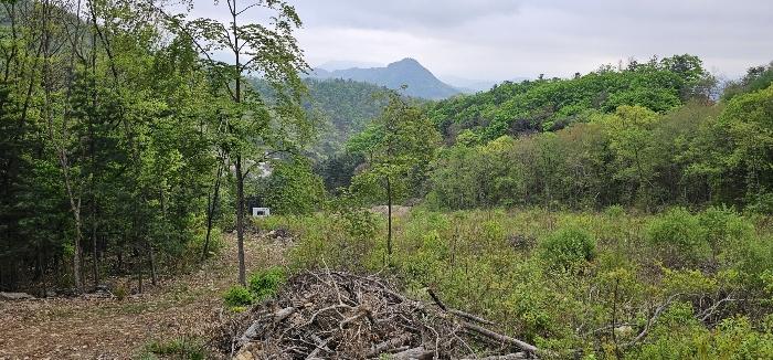 경기도 가평군 청평면 고성리 산165 임야 경매 사진 13