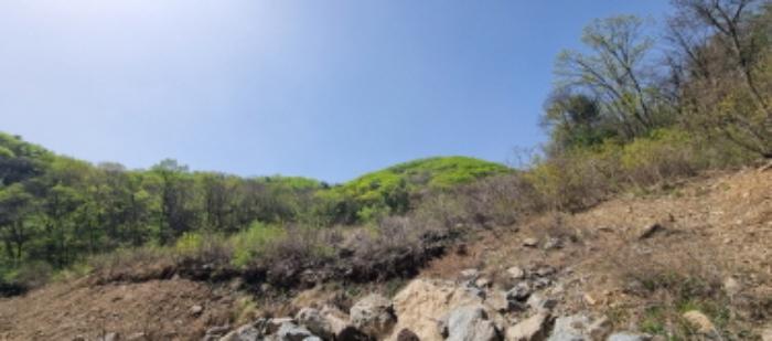 경기도 가평군 청평면 고성리 산165 임야 경매 사진 37