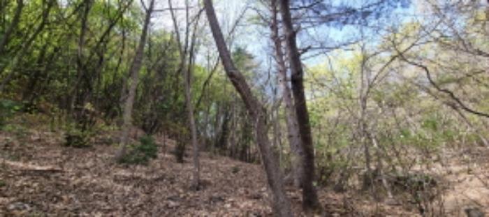 경기도 가평군 청평면 고성리 산165 임야 경매 사진 39