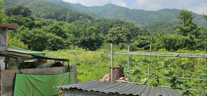경기도 가평군 북면 백둔리 213 전 경매 사진 3