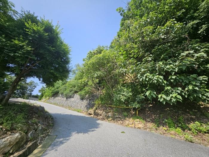 경기도 가평군 청평면 대성리 321-160 임야 경매 사진 3
