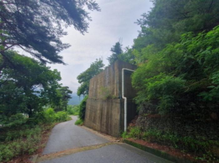 경기도 가평군 청평면 대성리 321-160 임야 경매 사진 7