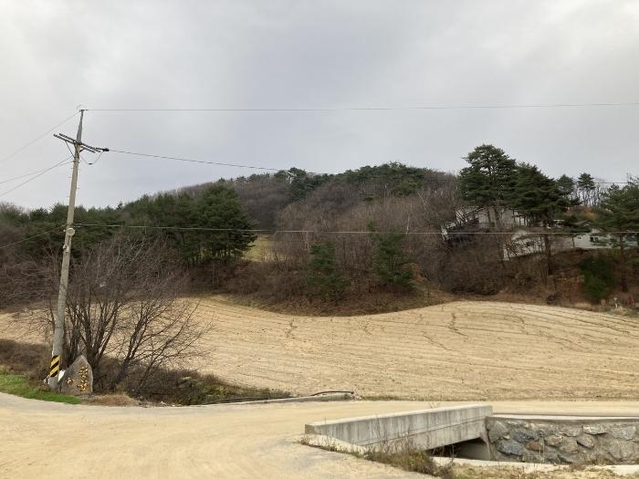 강원특별자치도 평창군 대관령면 차항리 491-14 임야 경매 사진 1