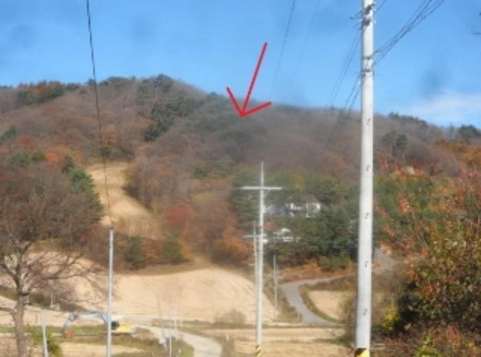 강원특별자치도 평창군 대관령면 차항리 491-14 임야 경매 사진 3