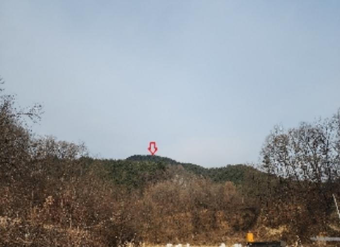 충청북도 옥천군 이원면 건진리 산29-19 임야 경매 사진 2