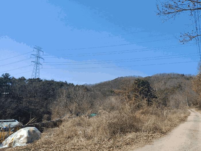 경상북도 성주군 용암면 기산리 산7-1 임야 경매 사진 4