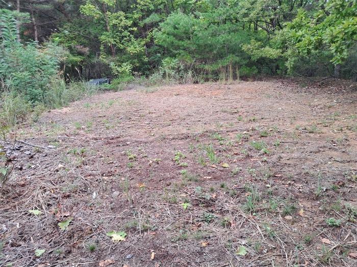 울산광역시 북구 무룡동 산150 임야 경매 사진 3