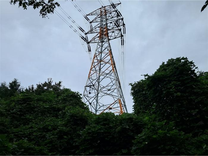 울산광역시 북구 무룡동 산150 임야 경매 사진 5