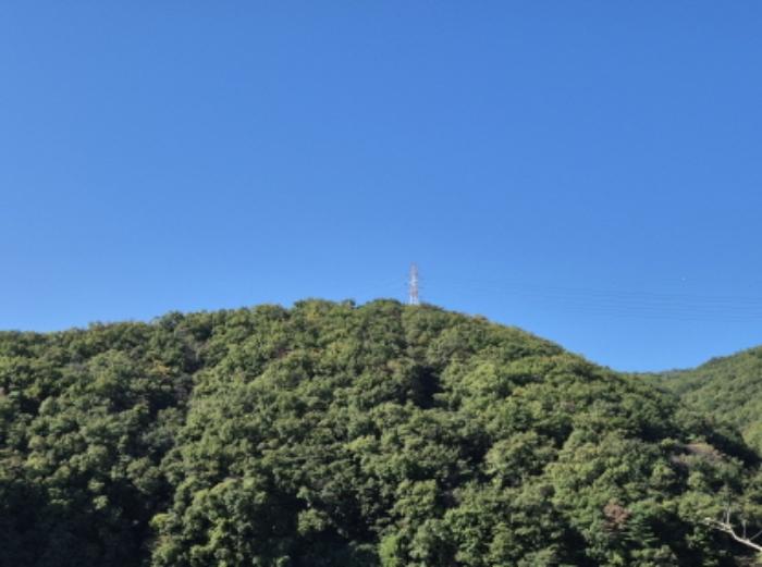 울산광역시 북구 무룡동 산150 임야 경매 사진 7