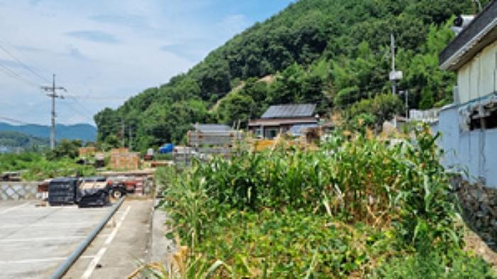 경상남도 창원시 의창구 북면 화천리 211-1 답 경매 사진 13