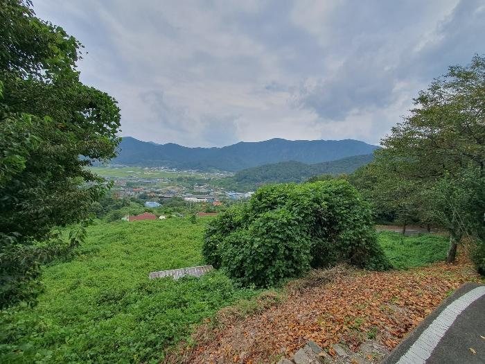경상남도 김해시 생림면 생철리 1324-8 임야 경매 사진 10