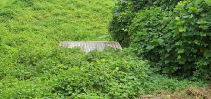 경상남도 김해시 생림면 생철리 1324-8 임야 경매 사진 16