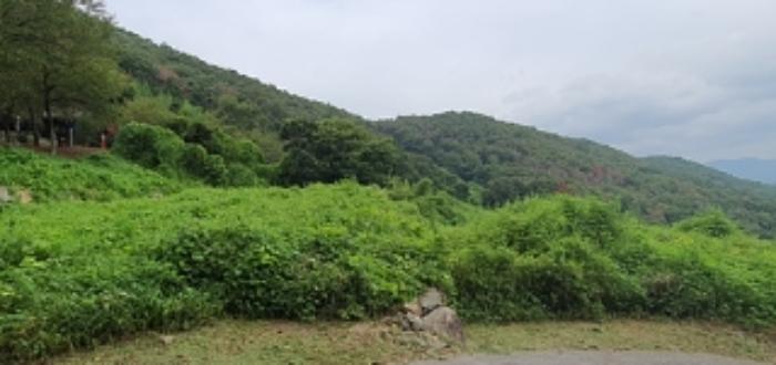 경상남도 김해시 생림면 생철리 1324-8 임야 경매 사진 17