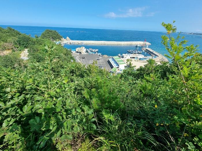 강원특별자치도 고성군 죽왕면 가진리 503-8 임야 경매 사진 17