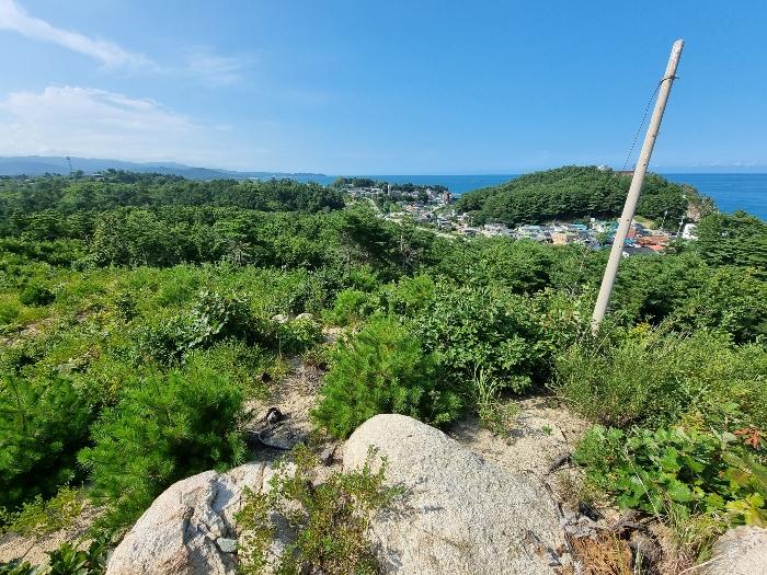 강원특별자치도 고성군 죽왕면 가진리 503-8 임야 경매 사진 18