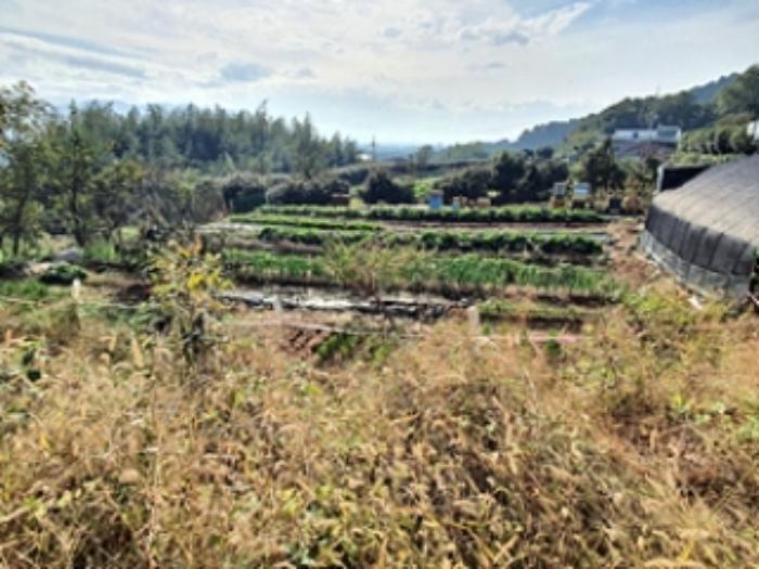 경상남도 김해시 대동면 주중리 256 전 경매 사진 3