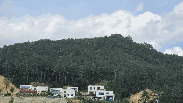 충청북도 청주시 서원구 남이면 문동리 산26-70 임야 경매 사진 1