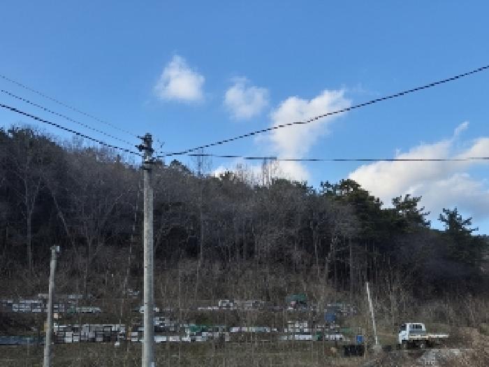 전라남도 장성군 삼서면 대도리 465 답 경매 사진 12
