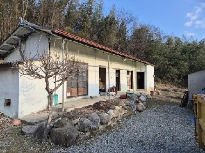 전라남도 장성군 삼서면 대도리 465 답 경매 사진 9