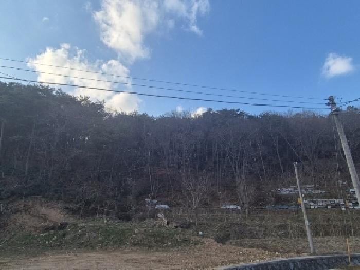 전라남도 장성군 삼서면 대도리 산51 임야 경매 사진 13