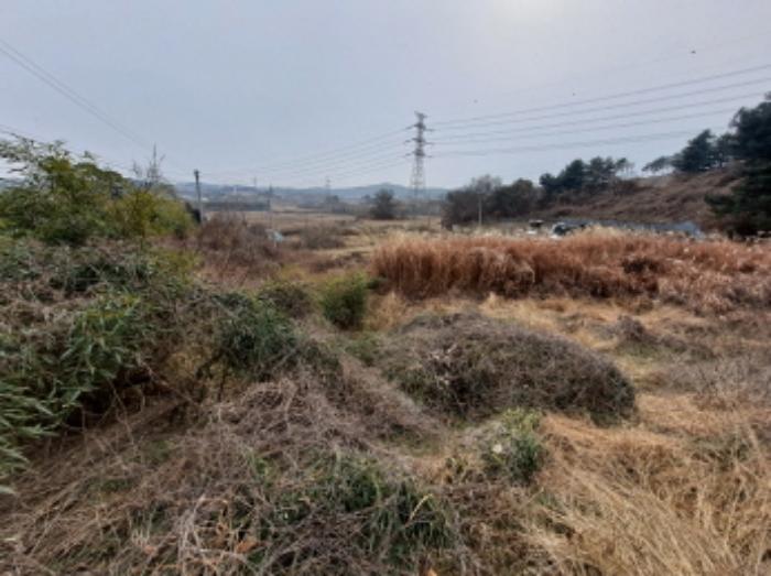 충청남도 당진시 송산면 송석리 282-1 전 경매 사진 16