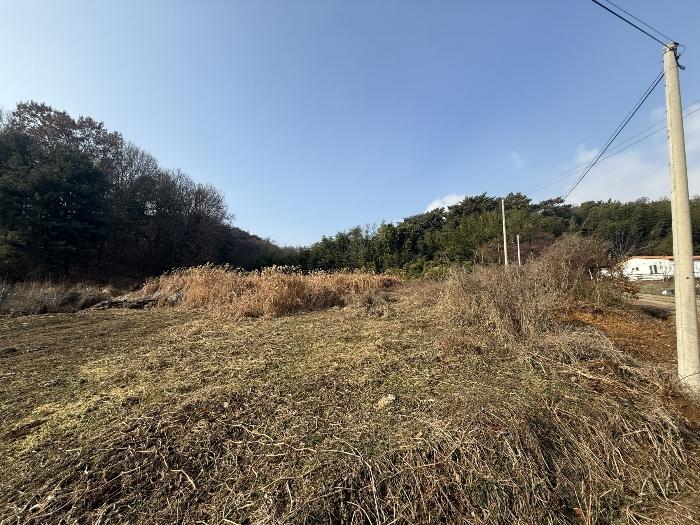 충청남도 당진시 송산면 송석리 282-1 전 경매 사진 4