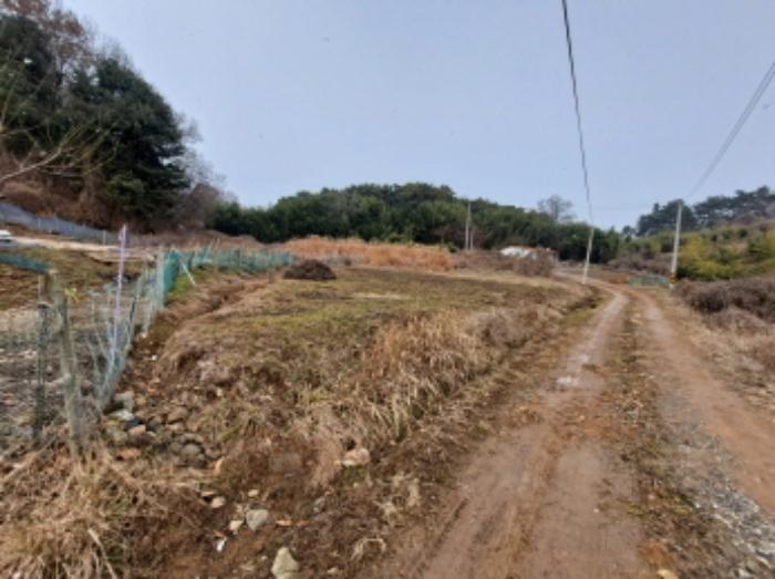 충청남도 당진시 송산면 송석리 282-1 전 경매 사진 9