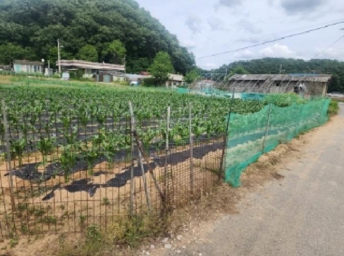 충청북도 진천군 초평면 금곡리 557-5 주택 경매 사진 13