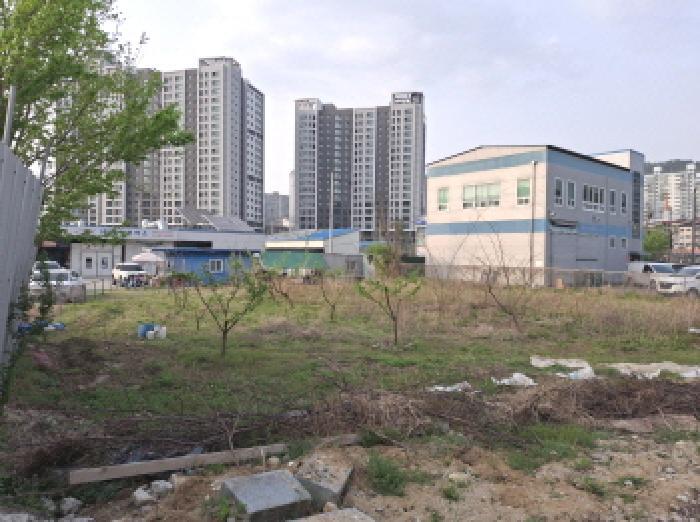대전광역시 동구 대성동 169-5 답 경매 사진 9