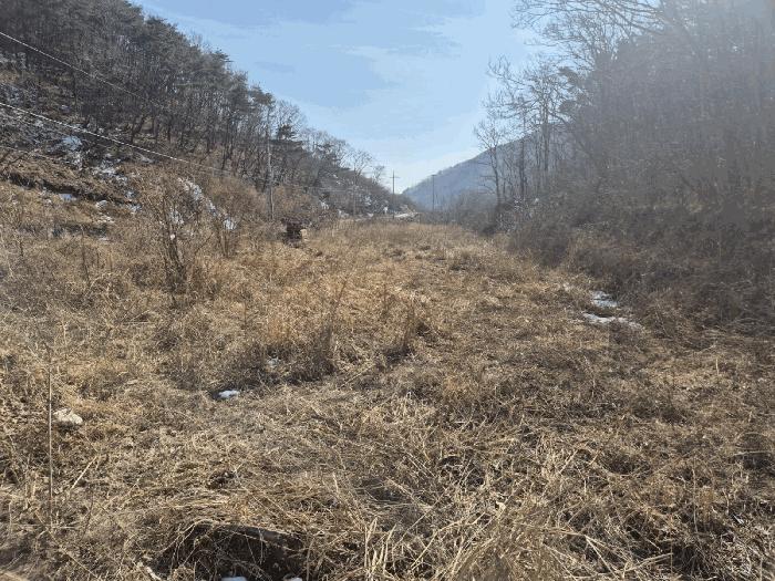 경상북도 영천시 화남면 용계리 424 답 경매 사진 5