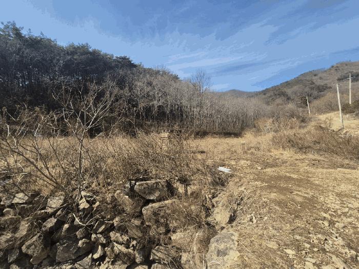 경상북도 영천시 화남면 용계리 426 답 경매 사진 2