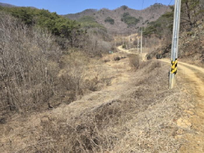 경상북도 영천시 화남면 용계리 426 답 경매 사진 7