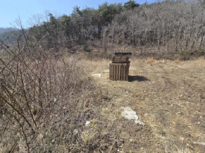 경상북도 영천시 화남면 용계리 426 답 경매 사진 9