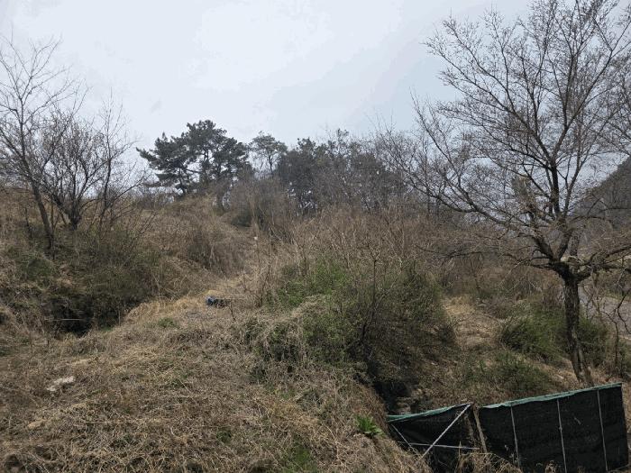 대구광역시 동구 상매동 208-4 과수원 경매 사진 2
