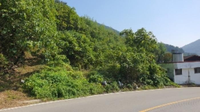 경상남도 창원시 마산합포구 구산면 수정리 633-1 대지 경매 사진 3