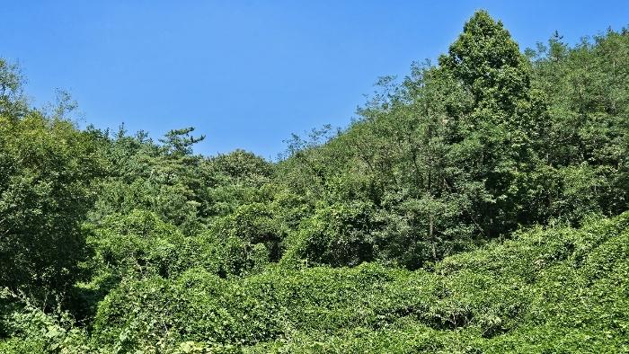 경상남도 의령군 전