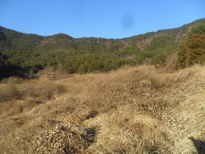 경상남도 창원시 마산합포구 진전면 시락리 254 전 경매 사진 2