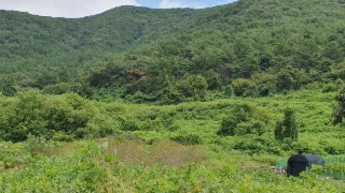 경상남도 창원시 마산합포구 진전면 시락리 254 전 경매 사진 6