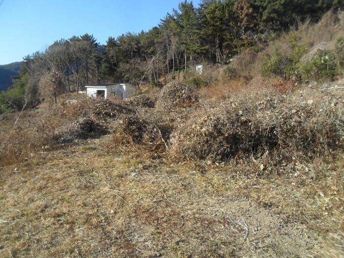 경상남도 창원시 마산합포구 답